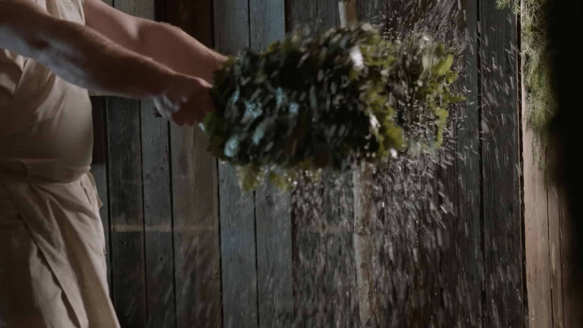 Как правильно заготавливать веники для бани: сроки, вязка и сушка